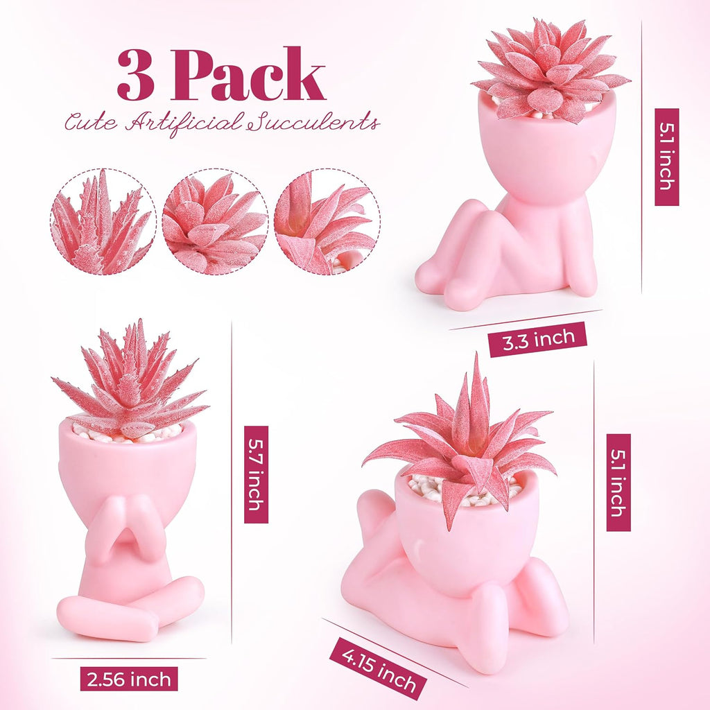 Der Rose 3 Pack Fake Succulents in Pink Human Pots for Desk Decor