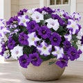 Geegoods Artificial Petunias Flowers for Outdoors, 4 Bundles UV Resistant