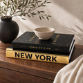 Beautiful Decorative Books - Set of 2 Boxes for Coffee Table & Shelf Decor