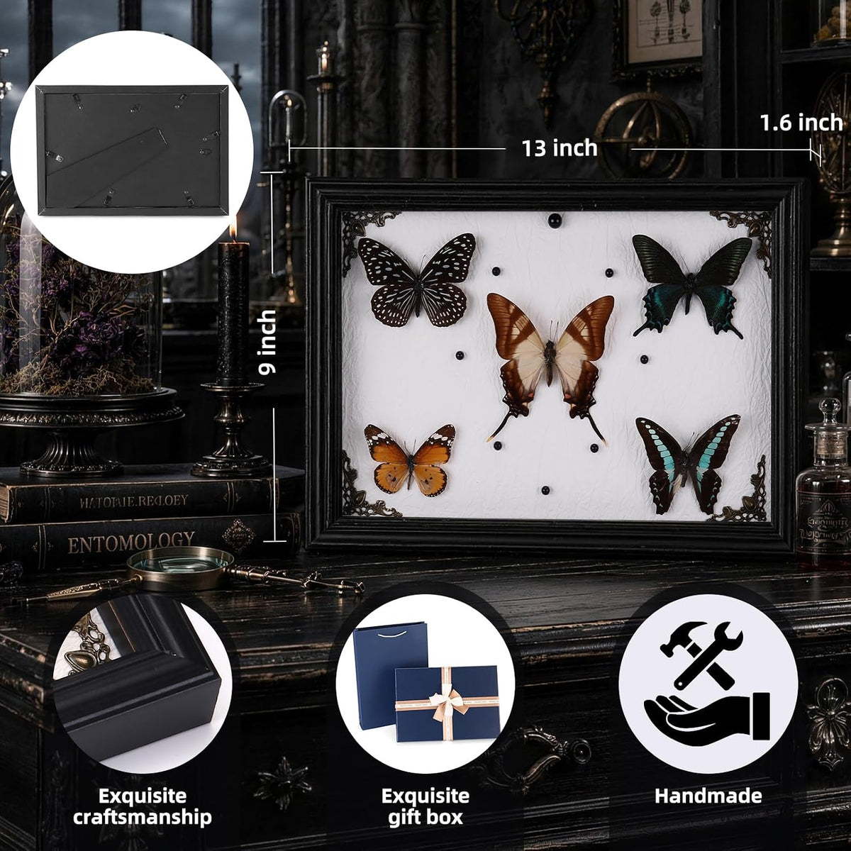 Duxjaqu Real Butterfly Taxidermy Frame with 5 Preserved Butterflies