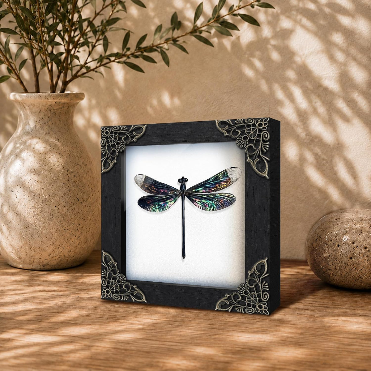 Real Dragonfly 4.7" Framed Insect Specimen Taxidermy Gothic Gift K12-85-TR