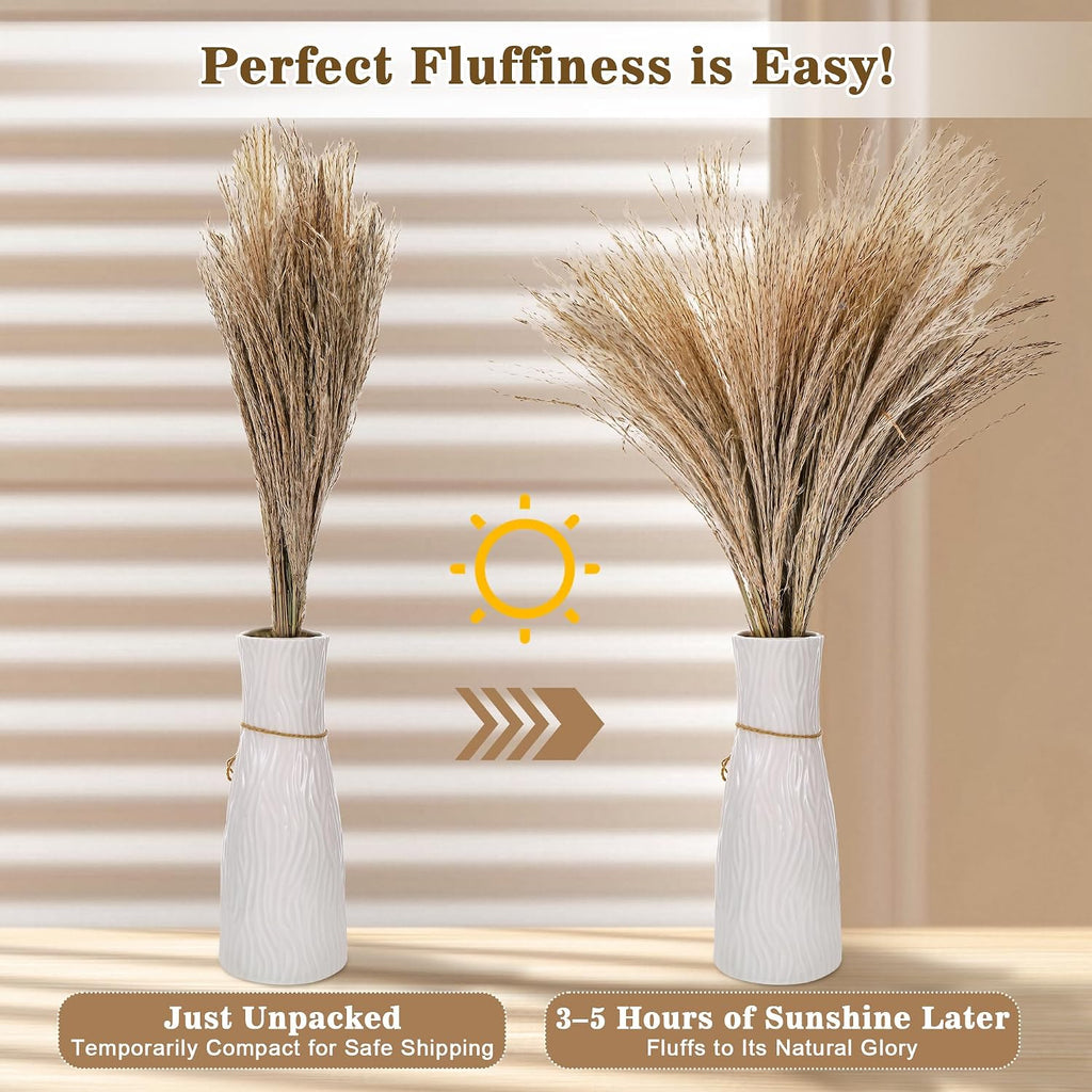 300 PCS Dried Pampas Grass Bouquet, Natural Pampas Grass Decor