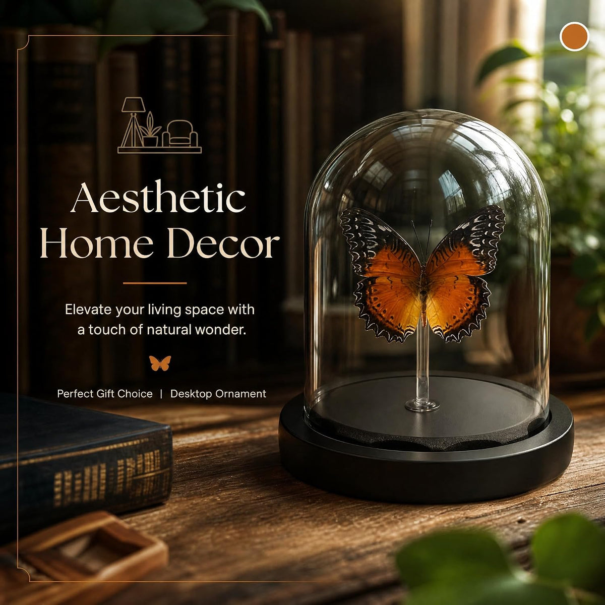 Real Taxidermy Butterfly Specimen Shadow Box, Butterfly Gifts for Women Girls with Glass Cover, Butterfly Decor for Bedroom Office Living Room Desk Cethosia bibles Drury