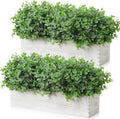 Lyrow 2 Pack Eucalyptus Plant,White,16.1 Inch,White Powdered Round Leaves
