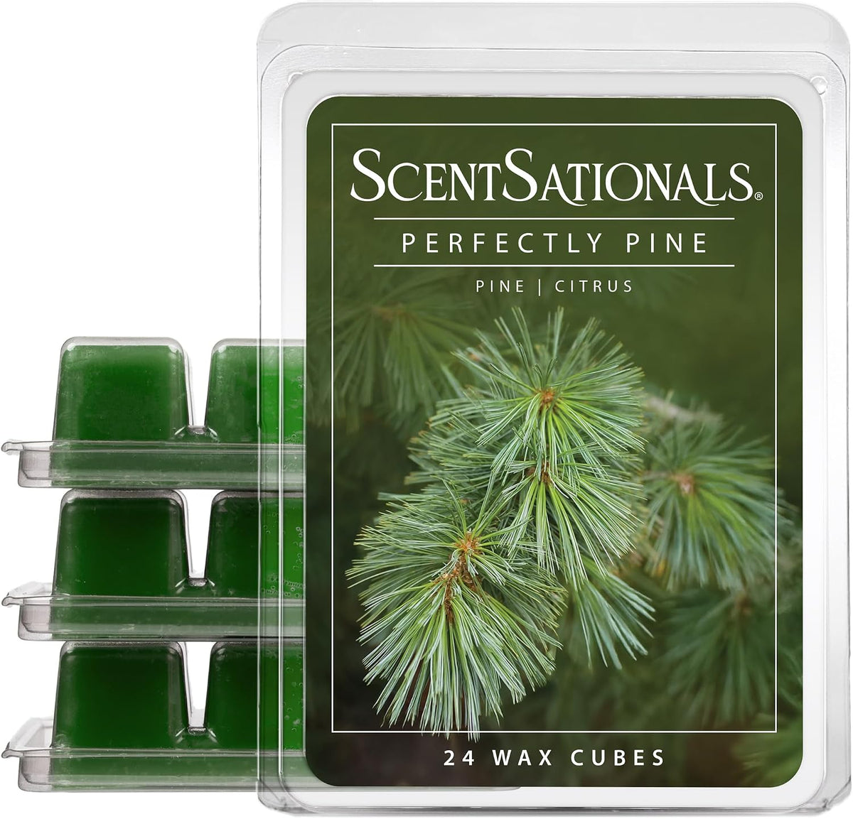 ScentSationals Perfectly Pine - Pine Scented Christmas Wax Melts 10oz