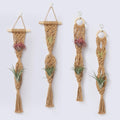 2 Tier 4 Pack Air Plant Holder, Air Plant Wall Hanger