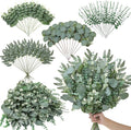 Serwalin 70PCS Mixed Eucalyptus Stems, Greenery Stems for Centerpieces