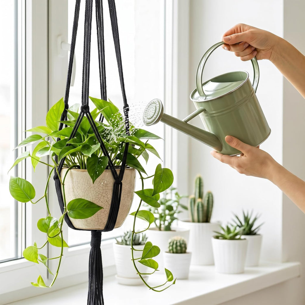 Laerjin Macrame Plant Hangers, 6 Pack Hanging Planters with Hooks, Black