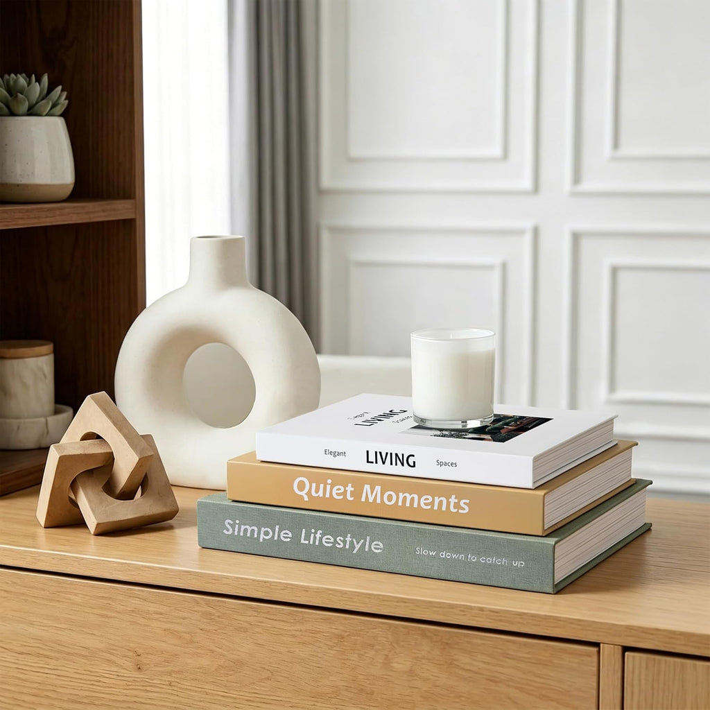 Decorative Books with Hidden Storage, Set of 3 Faux Book Boxes