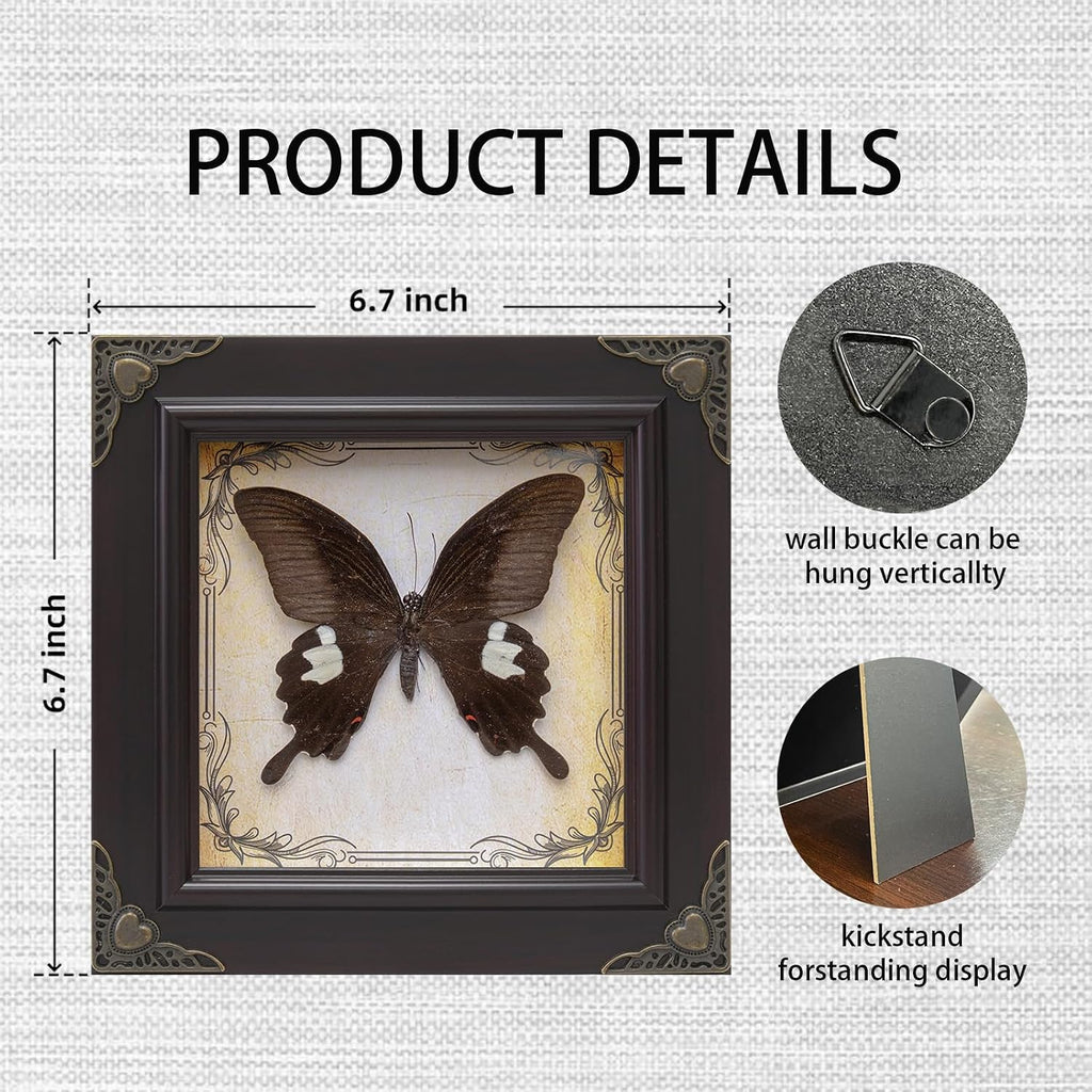 Handmade Real Butterfly Framed with 5 Pieces Gift Set - Gothic Home Decor and Vintage Frame - Butterflies Taxidermy Shadow Box Collection (Red Helen Butterfly)