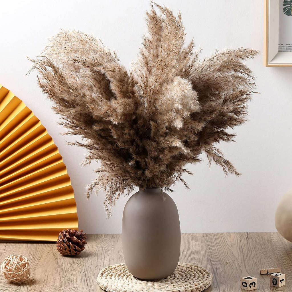 Janinka 100 Pcs Dried Fluffy Pampas Grass Bulk 17 Inch, Boho Decor, Brown