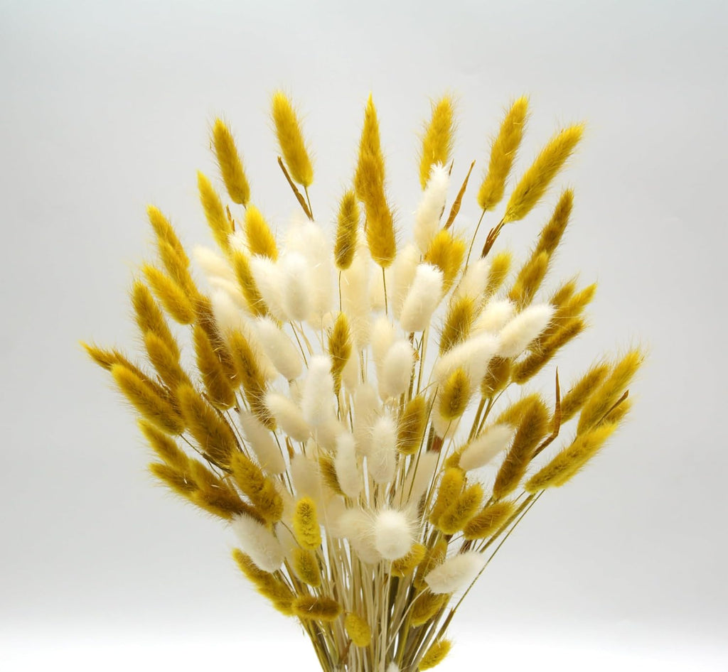 Dried Bunny Tails Flowers 120pcs Tail Dried Flowers Pampas Grass Natural Dried Floral Arrangement 17" for Christmas Halloween Boho Decor Home Wedding DIY Craft Decoration(White and Yellow)