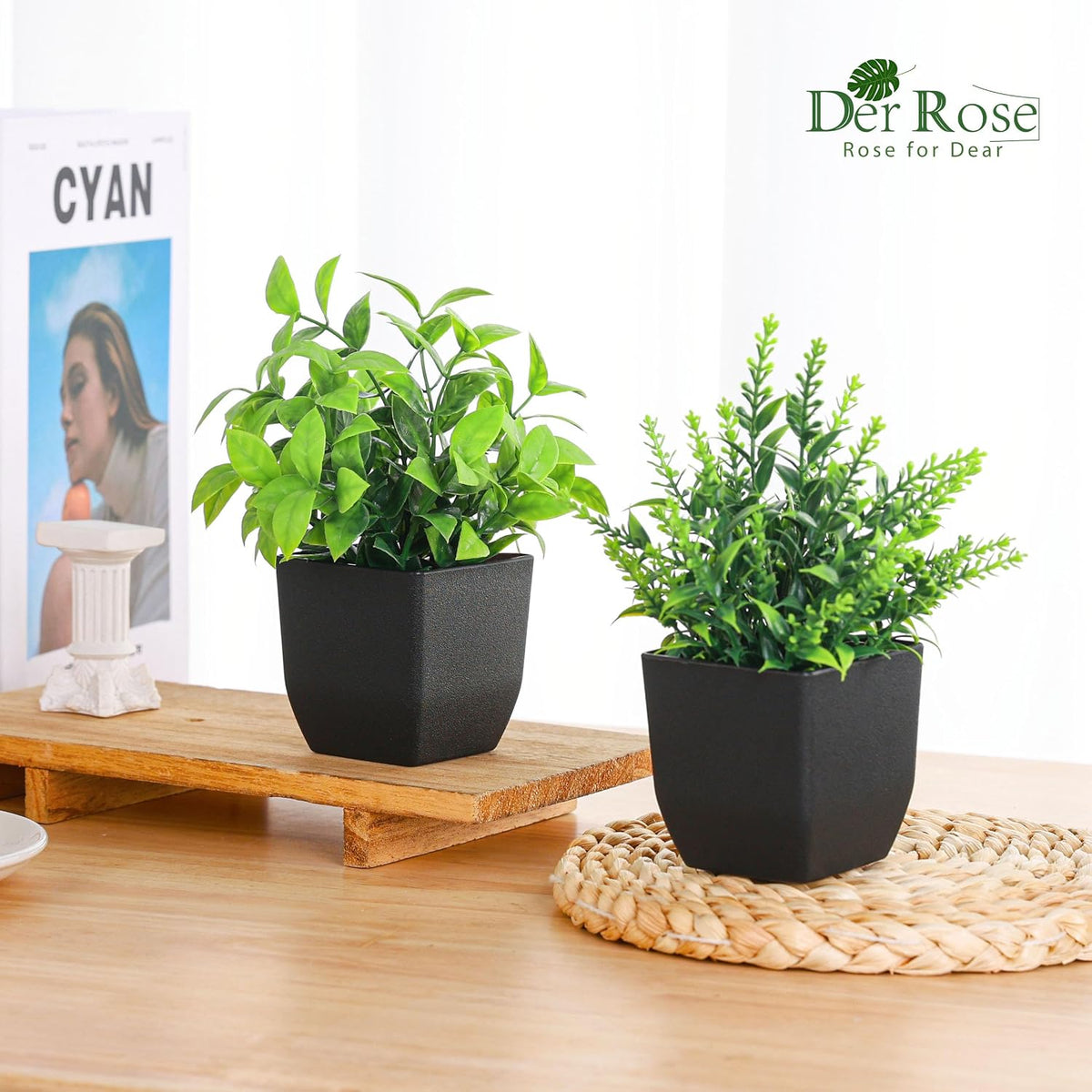 Der Rose 2 Pack Fake Plants Black Small Plants for Bathroom Decor