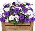 Artificial Flowers for Outdoors, Faux Petunias Spring Summer Decoration, Fake Flowers Plants UV Resistant Look Real Silk Flowers for Outside Planter Front Door Porch Patio Yard (Purple+White)
