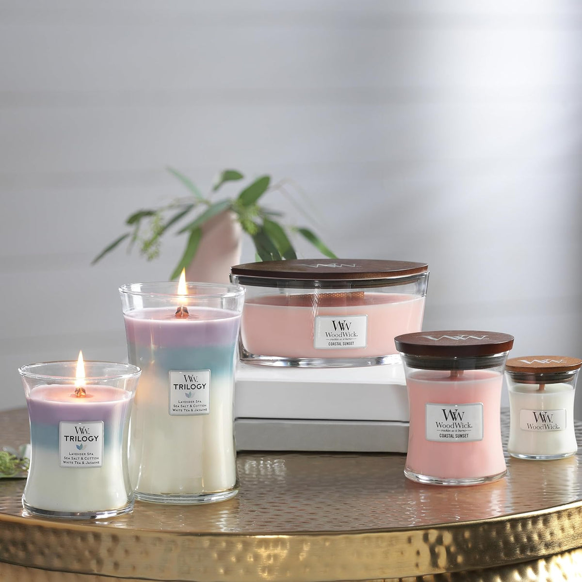 WoodWick Coastal Sunset Scented Candle, Crackling Wick, 9.7oz