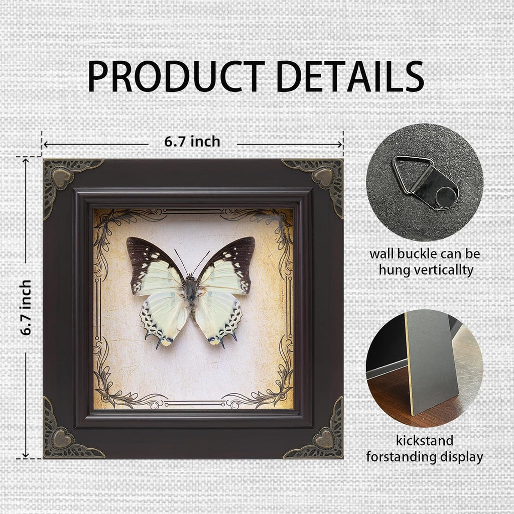 Handmade Real Butterfly Framed with 5 Pieces Gift Set - Gothic Home Decor and Vintage Frame - Butterflies Taxidermy Shadow Box Collection (Great Nawab Butterfly)