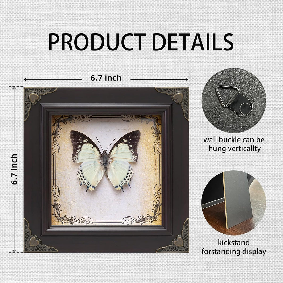 Handmade Real Butterfly Framed with 5 Pieces Gift Set - Gothic Home Decor and Vintage Frame - Butterflies Taxidermy Shadow Box Collection (Great Nawab Butterfly)