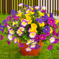 TSTWETO 12 Bundles Artificial Flowers for Outdoors Fake Plants Spring Decor, Realistic Fake Silk Flowers Colorful Morning Glory UV Resistant Faux Flowers for Porch Outside Planter Porch Patio Yard