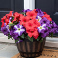 Artificial Fake Flowers Plants for Outdoor Decoration, 4PCS Faux Petunias Silk Flower UV Resistant No Fade for Home Outside Garden Balcony Yard Porch Realistic Indoor Decor (Purple/Red)