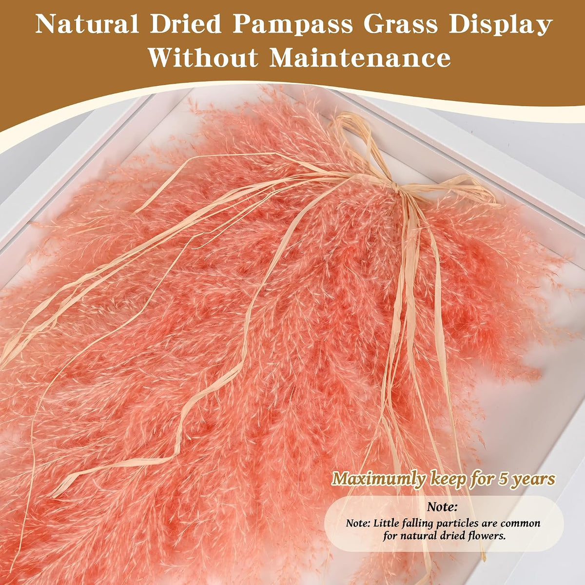 Pampas Grass Boho Wall Decor in 16’’ Frame – Framed Dried Flower Accent for Living Room, Entrance & Bedroom (Coral Red)