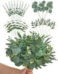 Alecono 25pcs Mixed Eucalyptus Leaves Stems Bulk, 4 Kinds Artificial Greenery Stems Faux Sliver Dollar Fake Greenery for Centerpieces Wedding DIY Bouquets Floral Arrangement Party Decor