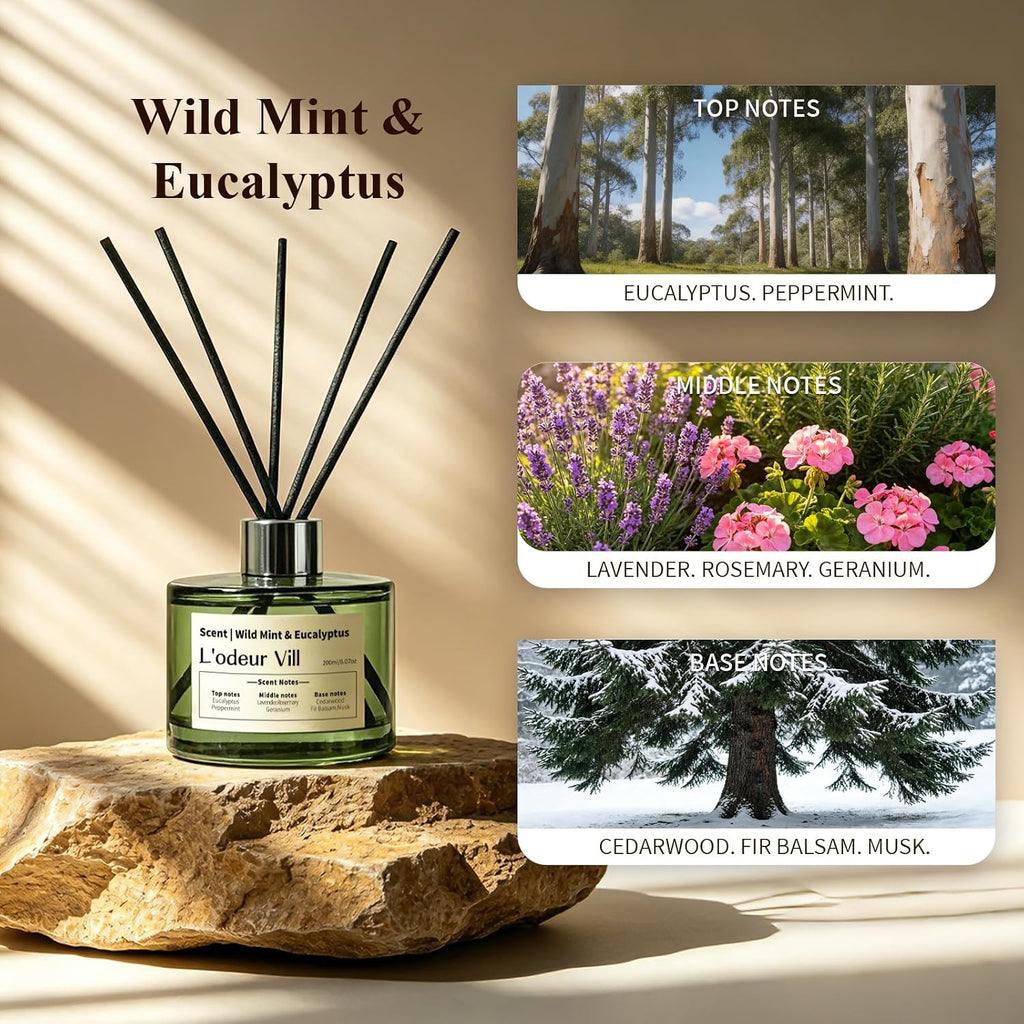 L'odeur Vill Reed Diffuser Set, 6.7 fl oz(200ml) Scent Diffuser with 6 Reed Sticks, Wild Mint & Eucalyptus Oil Diffuser Home Fragrance Bathroom & Office Shelf Decor