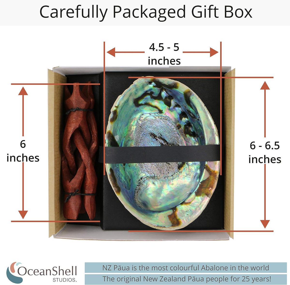 Natural Abalone (Pāua) Shell, with Stand,6-6.5 Inches,Supreme for Smudging,Cleansing Home,Meditation,Shell Crafts,Incense Holder,100% Natural, Sustainably Sourced by Ocean Shell Studios NZ