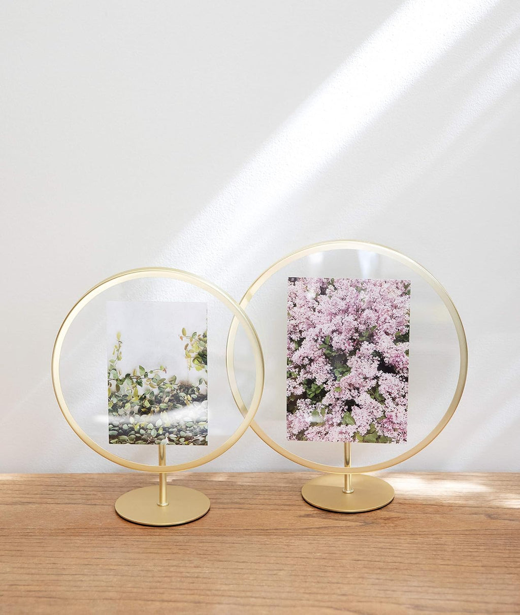 Umbra Infinity 5x7 Picture Frame, Unique Circular Photo Display for Desk or Wall, Black