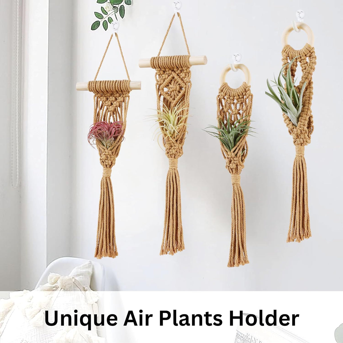 4 Pack Air Plant Holder, Air Plant Wall Hanger, Wall Plant Holder