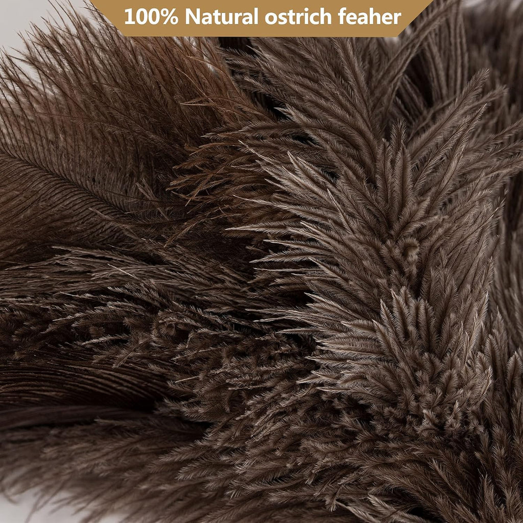 Genuine Ostrich Feather Duster with Wood Handle, 16 inch Gray