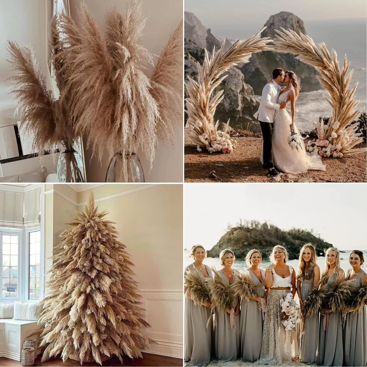 Wertuirk 9 Stems Dried Pampas Grass Decor Tall 48''/4 FT