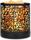 SUNYA Himalayan Salt Lamp - Metal Basket with 5 LED Bulbs, Pink Rock Salt Lamp Night Light with USB Power Cable. Box Package (Etoile)