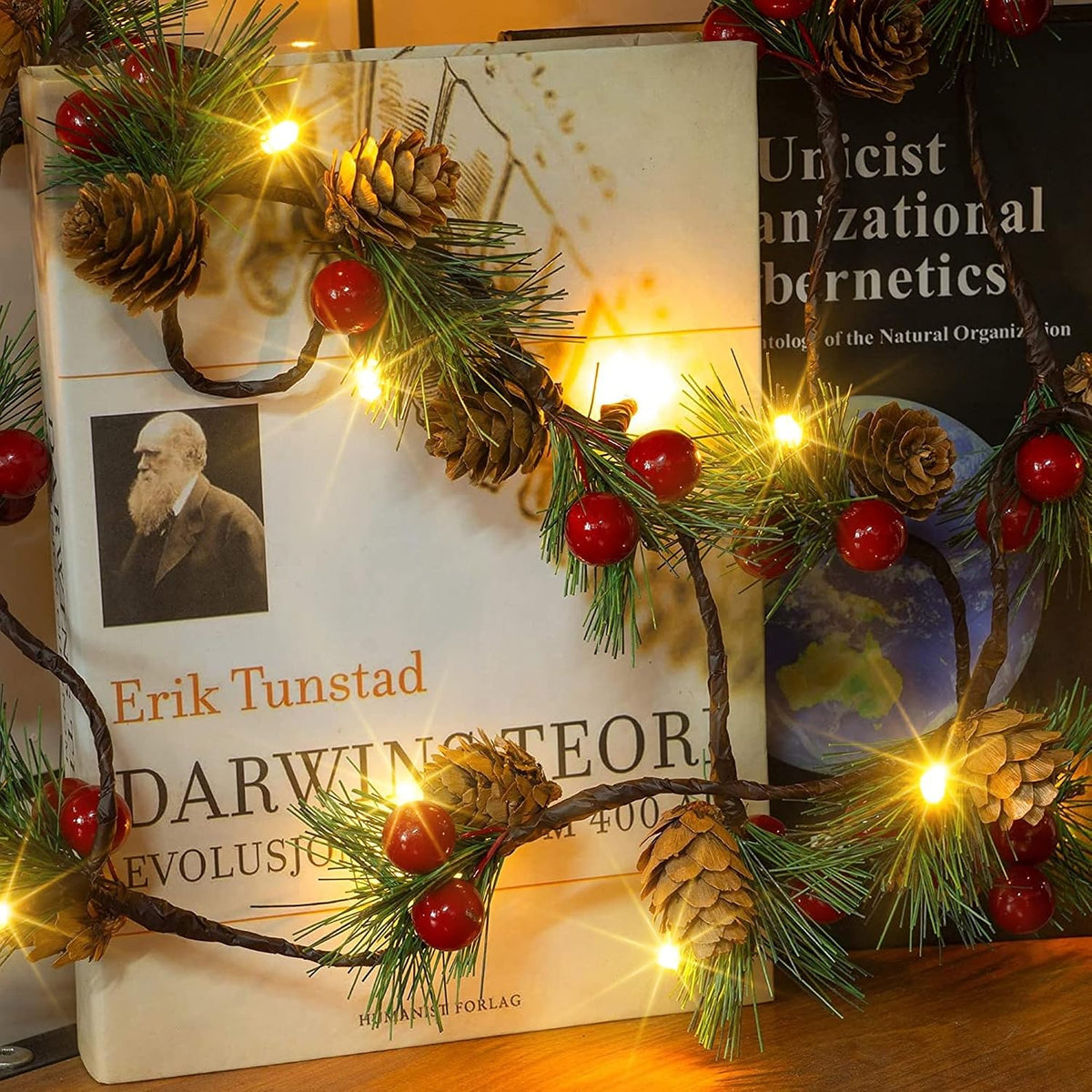 Dazzle Bright Pine Cone Christmas String Lights, Total 6.5FT 20LED Battery Operated Christmas Garland with 8 Modes, Red Berry Pine Cone Fairy String Lights for Indoor Outdoor Xmas Decorations