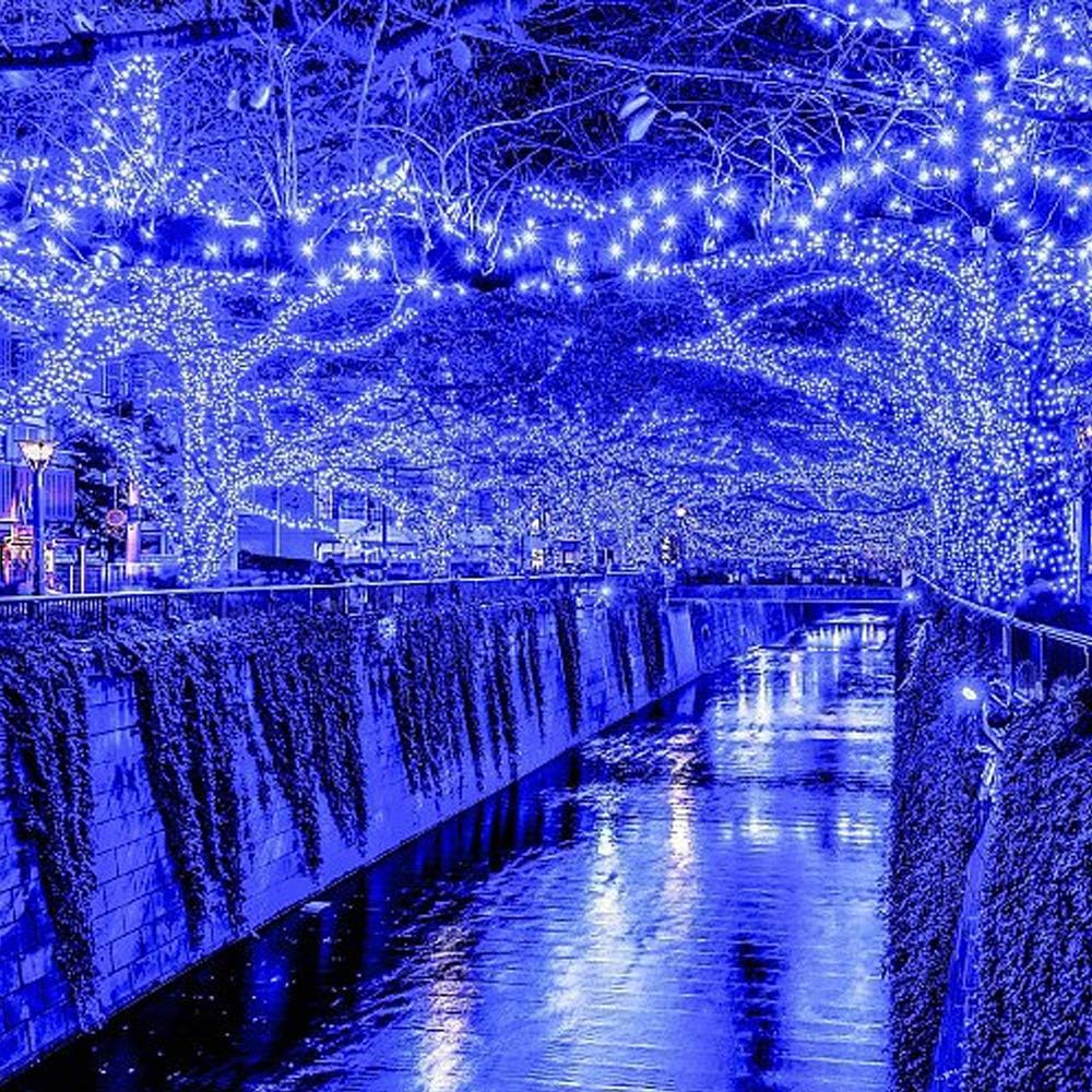 66Ft 200LED Blue Christmas Tree Lights String Light Indoor