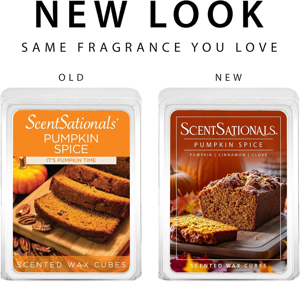 Scentsationals Pumpkin Spice Scented Wax Melts 10oz (24 Cubes)