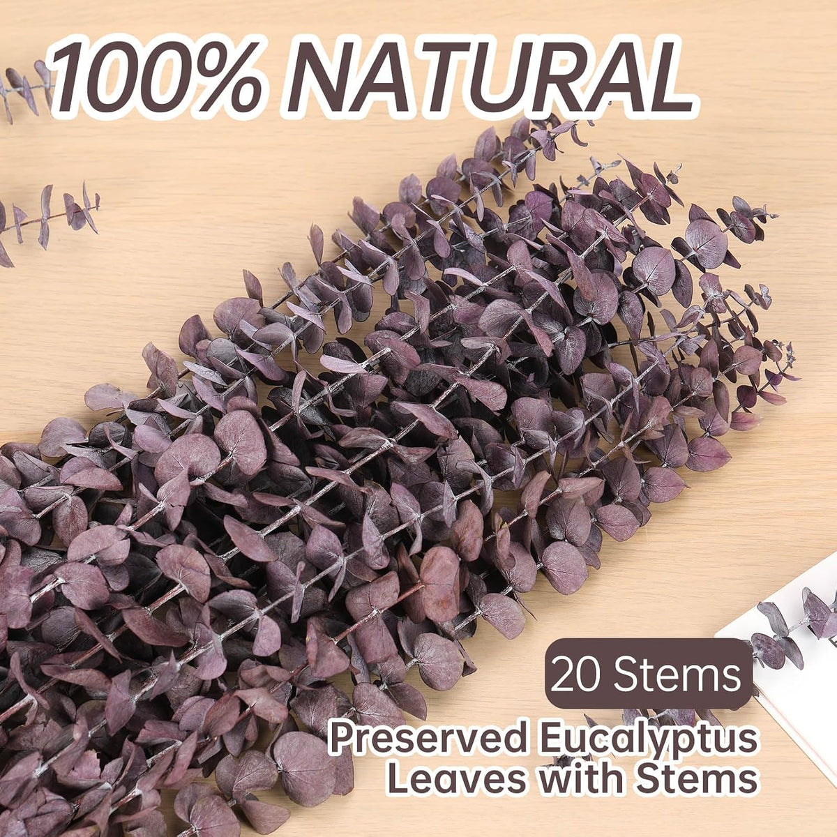 20 Pcs Dried Eucalyptus Stems, 17'' Real Purple Leaves for Shower Hanging