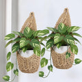 2 Pack Macrame Wall Plant Hanger for 6 inch, Wall Plant Basket