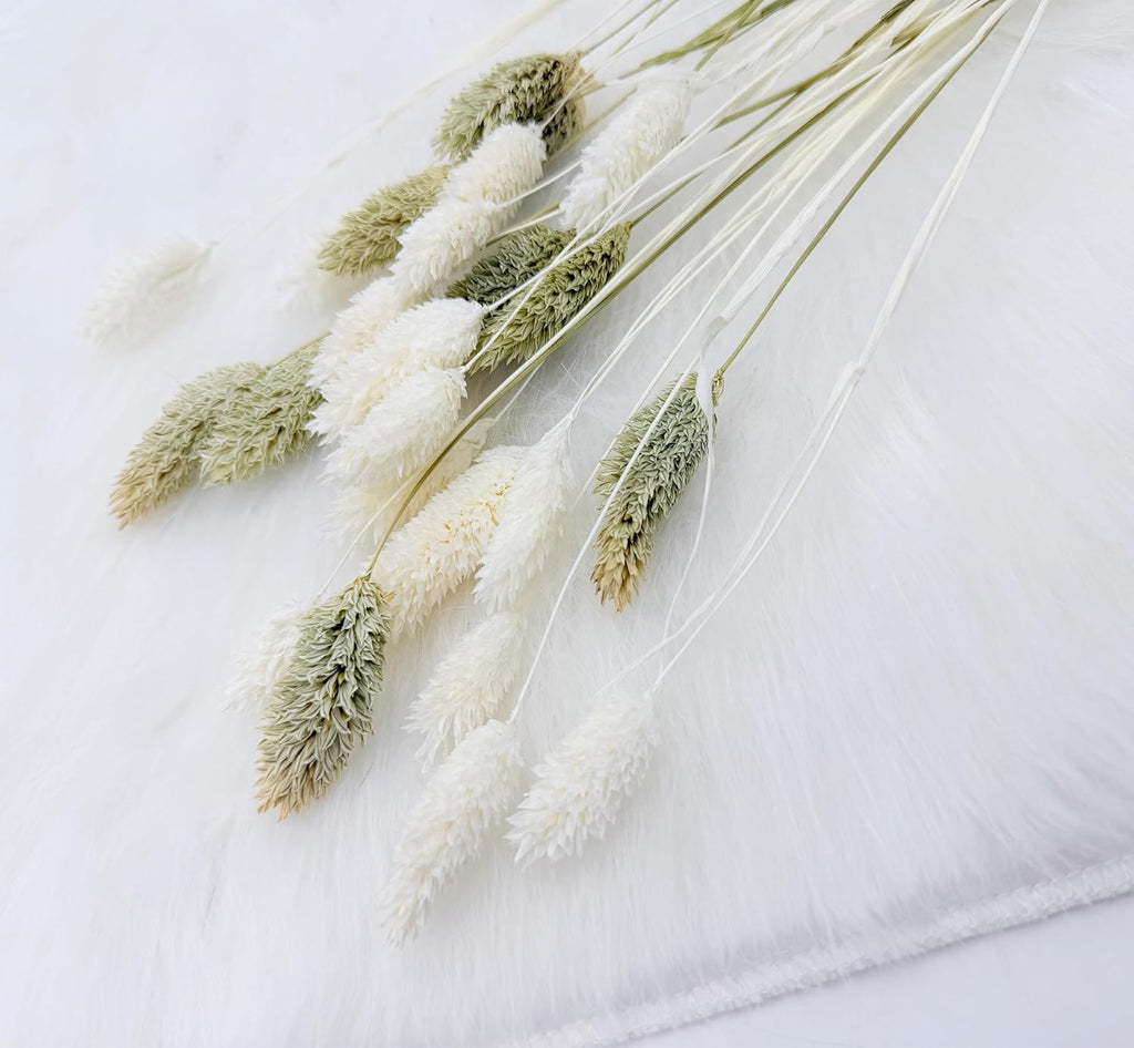 100Pcs Fall Dried Flowers Stems Natural Dried Pampas Grass Bouquets White and Green Gem Grass Artificial Dried Plants Boho Floral for Autumn Vase Filler Floral Arrangements Home Table Wedding