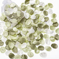 Serwalin 300pcs Silk Rose Petals Sage Green Flower Petals for Wedding Decor