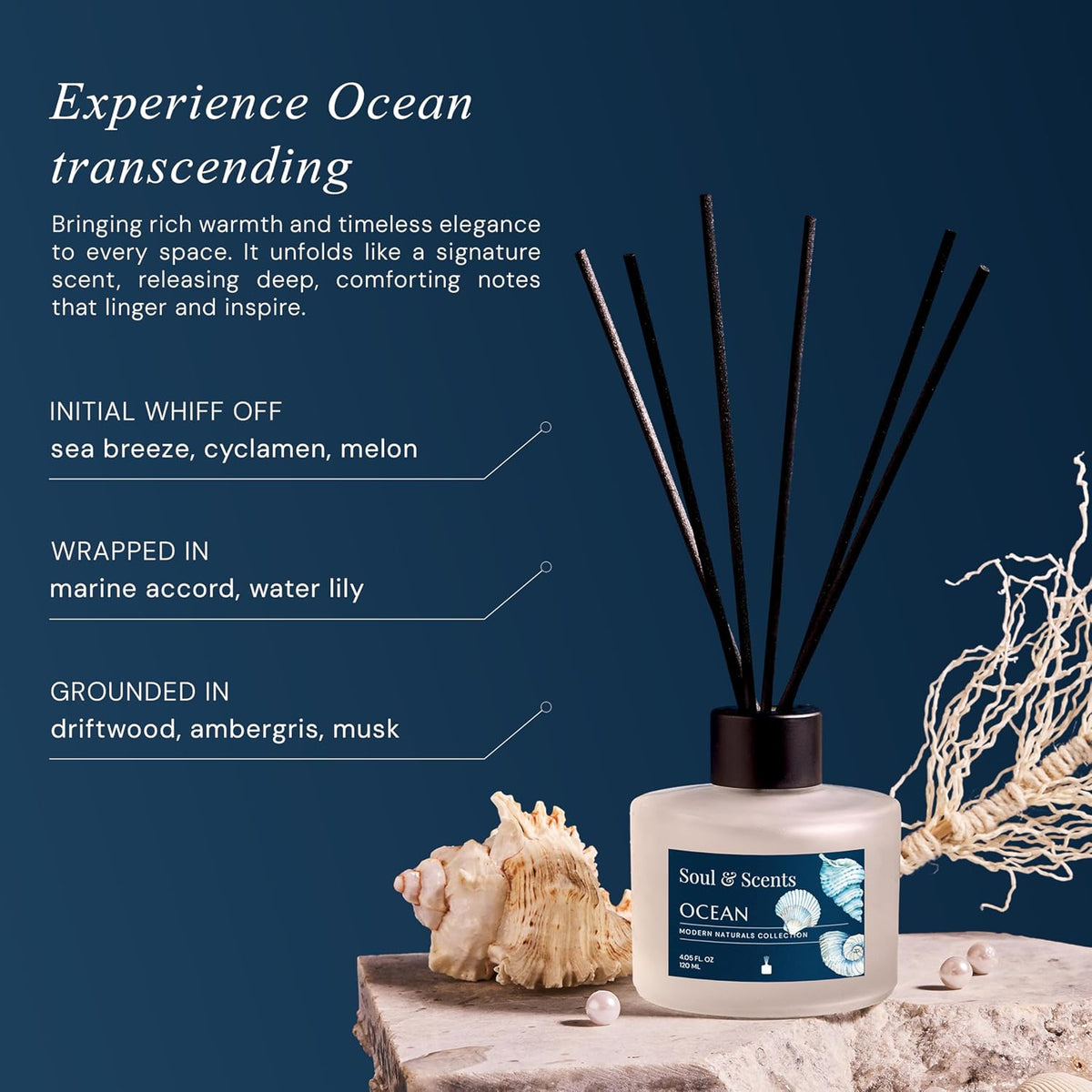 Soul & Scents Ocean Scented 4.06 oz (120ml) Reed Diffuser Set with 6 Fiber Sticks for Room Decor | Home Fragrance Reed Diffuser | Air Freshners for Home