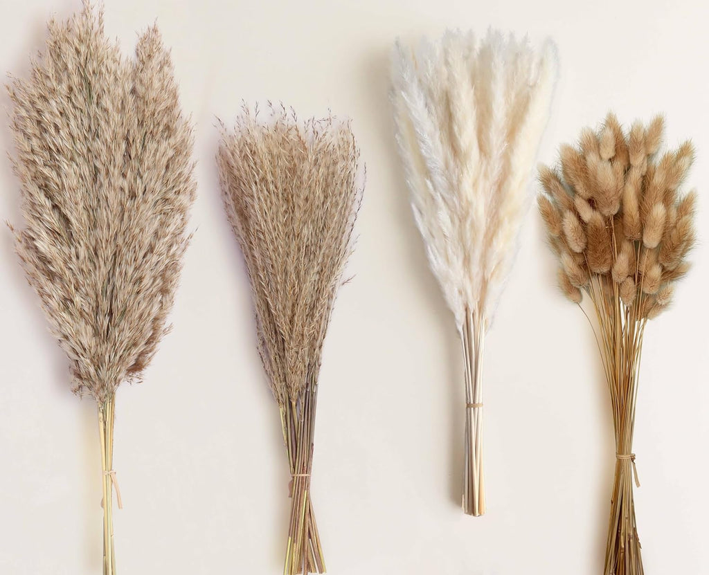 100 Stems Dried Pampas Grass, Boho Table Decor Natural Reed Phragmites Grass, Fluffy Large Pampas Grass, Bunny Tails Flowers Bouquet for Wedding Floral Arrangements Farmhouse Home, Wall Rustic Party
