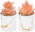 Der Rose 2 Pack Fall Fake Plants in Gold Accent Pots for Autumn Decor