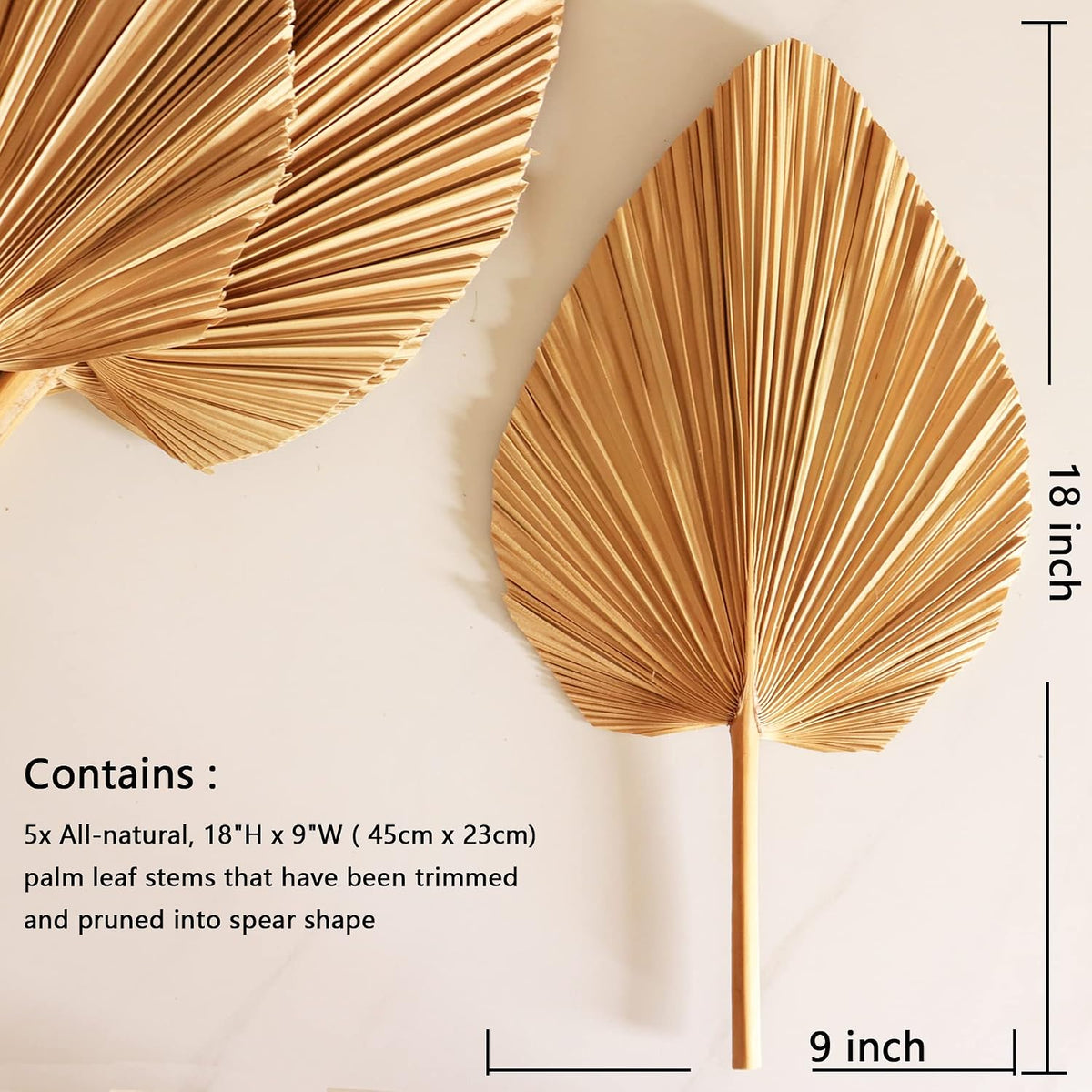 Dried Palm Leaves 5Pcs 18" Large Natural Trimmed Palm Spear Tropical Palm Leaves Fans Boho Wedding Decor Hawaiian Luau Party Holidays Kitchen Table Dried Flowers Pampas Grass Decoration