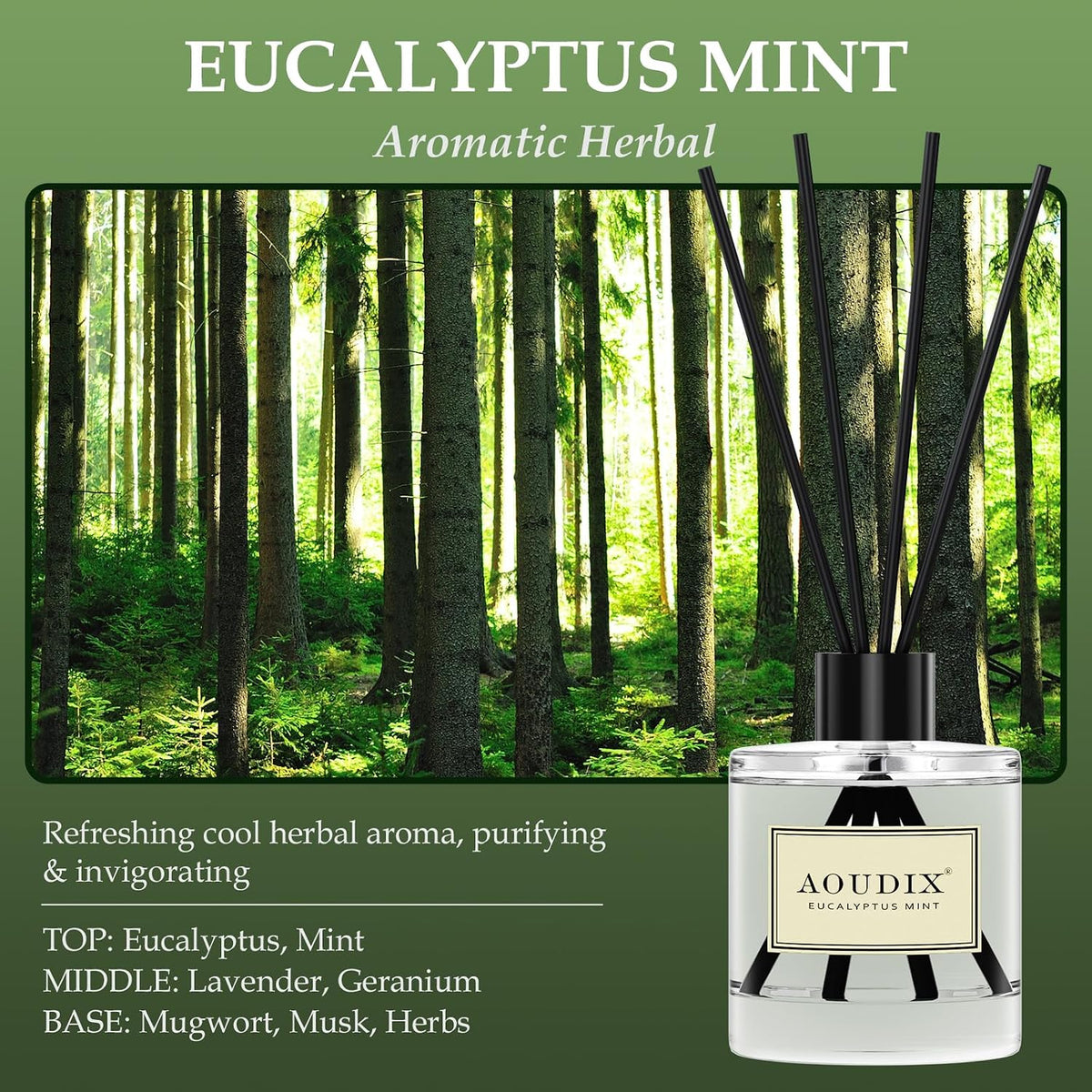 Reed Diffuser Set of 3, 50 ml Lily Jasmine/Eucalyptus Mint/Ocean