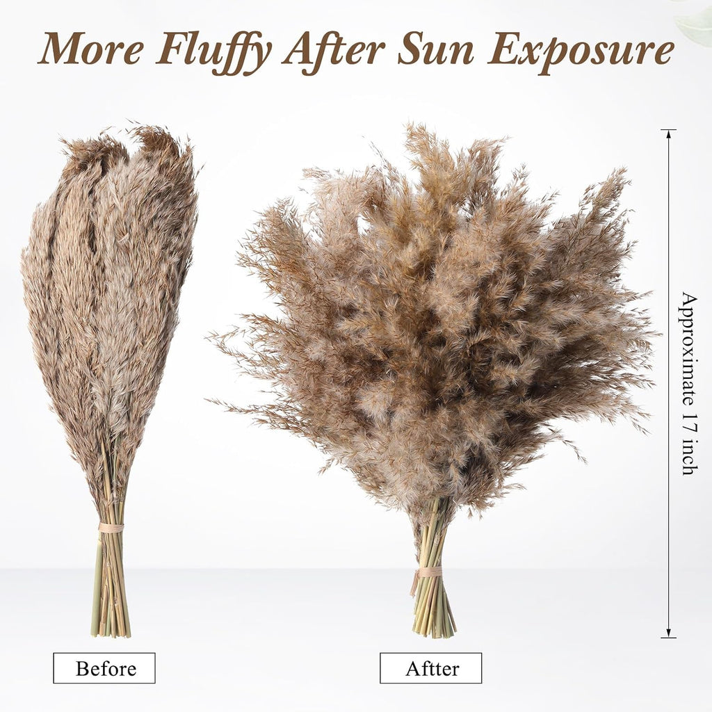 Janinka 300 Pcs Dried Fluffy Pampas Grass Bulk 17 Inch, Boho Decor, Brown