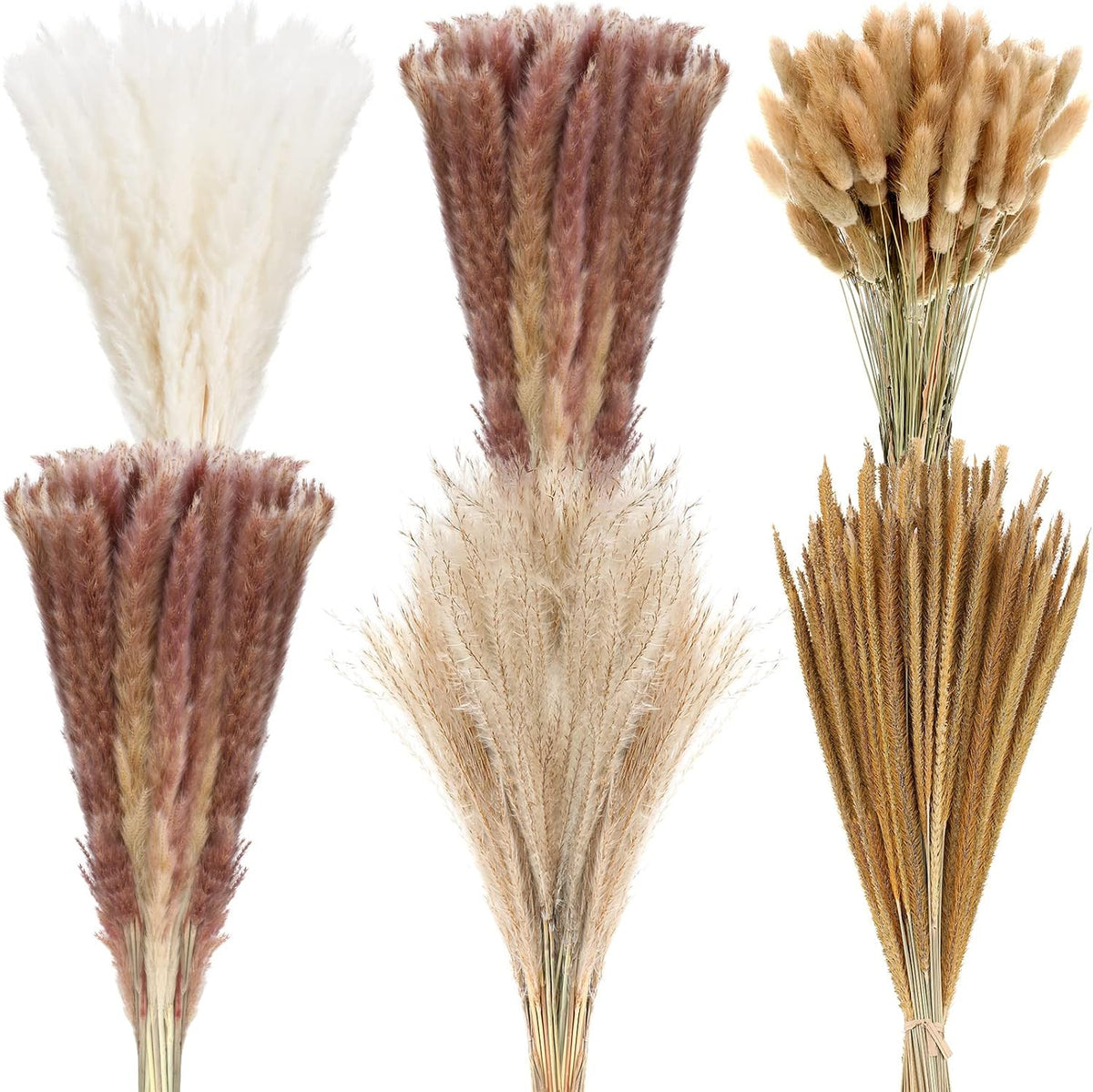 Treela 360 Pcs Pampas Grass Dried Flowers, 17 Inch Bunny Tails, Goldenrod