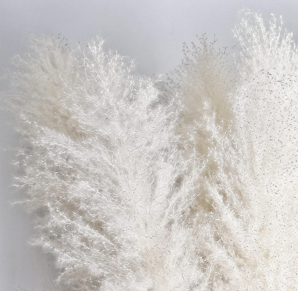 46" inch 10 Stems Cream Pampas Grass Decor Tall, Dry Flowers for Floor Vases Decor, Natural Dried Flowers for Wedding, Natural Home Decor, Wall Grass, Glam Decor
