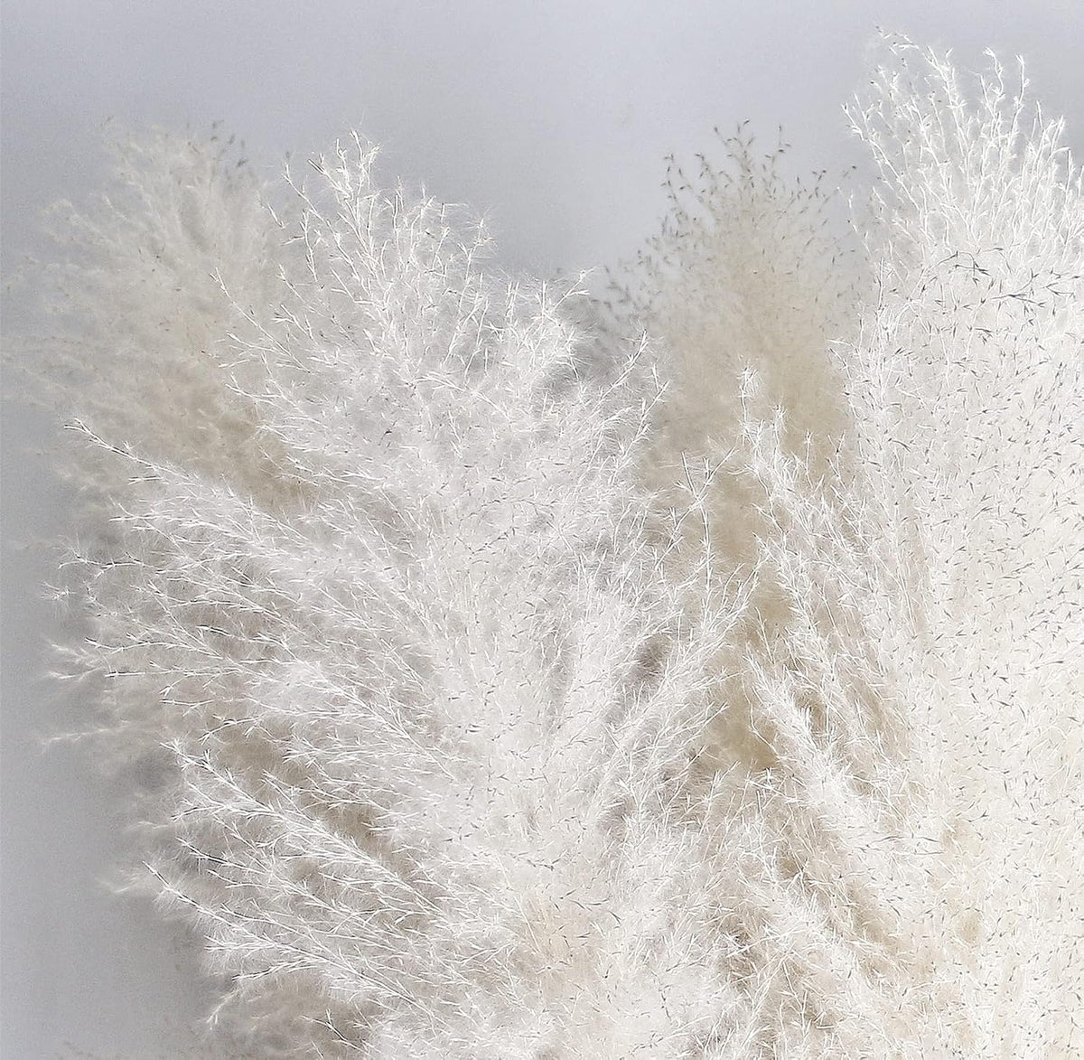 46" inch 10 Stems Cream Pampas Grass Decor Tall, Dry Flowers for Floor Vases Decor, Natural Dried Flowers for Wedding, Natural Home Decor, Wall Grass, Glam Decor