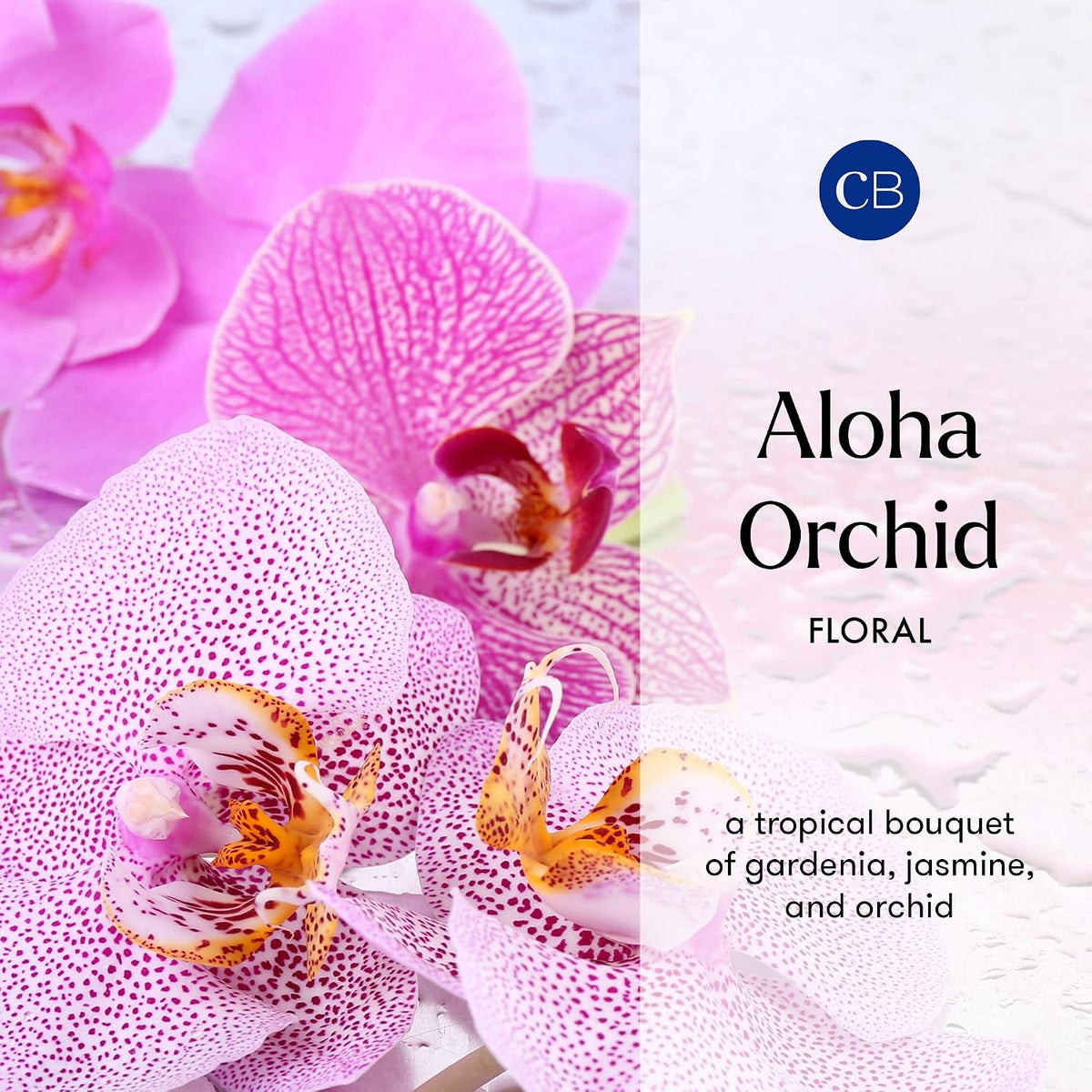Capri Blue Aloha Orchid Reed Diffuser Set, Includes Sticks, Fragrance Oil, and Glass Bottle, Scented Room Fresheners,Cobalt Color (8 Fl Oz)