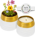 Hyggelight - The Growing Candle, Lavender Scented, 10oz Ceramic Pot, Single Wick Aromatherapy Candles, 100% Soy for Women and Men, Clara
